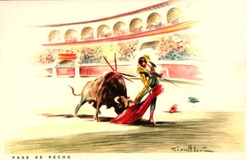 Toreador Stubbed Bull Bullfighting