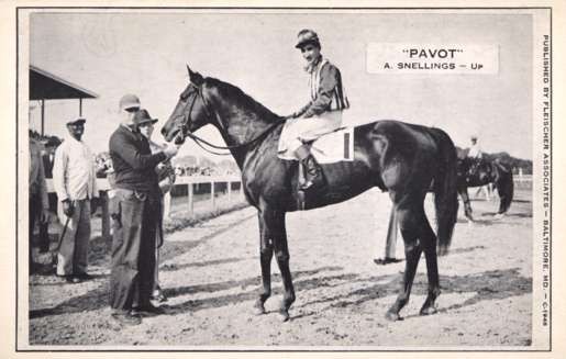 Jockey on Horse Pavot