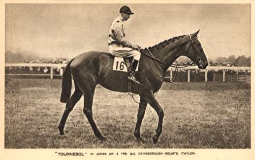 Jockey on Horse Tournesol