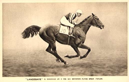 Jockey Donoghue on Horse Lancegaye in Gallop