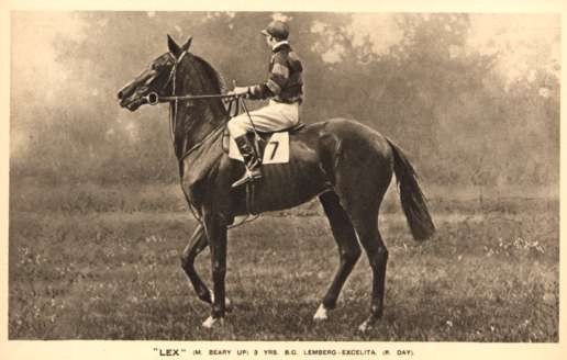 Jockey on Lex Horse