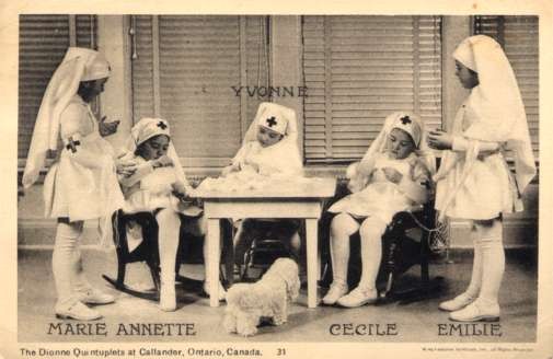 Quintuplets Dressed as Red Cross Nurses Dog Puppy