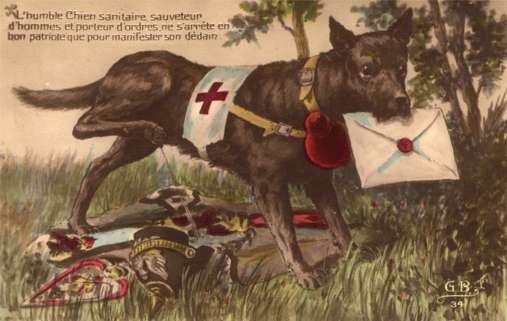 Red Cross Dog Peeing on Helmet WWI Tinted RP