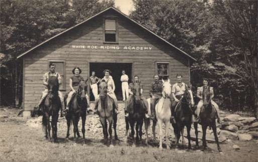 Horseback Riders Academy White Roe Lake New York