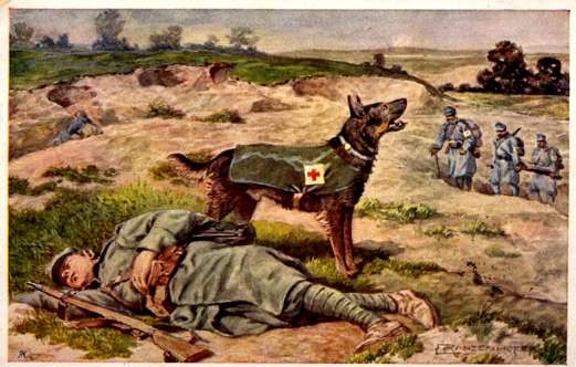 Wounded Red Cross Dog Calling for Help WWI