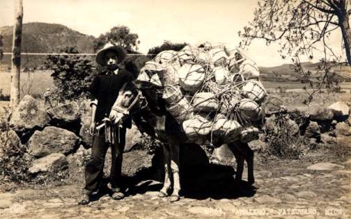 Mexican Child by Donkey Loaded with Baskets RPPC