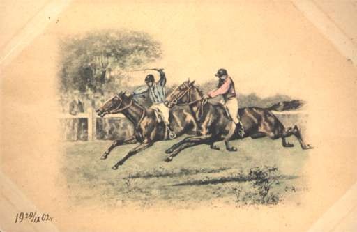 Racing Horses