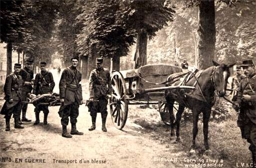 Red Cross Orderly Carrying Wounded Horse WWI