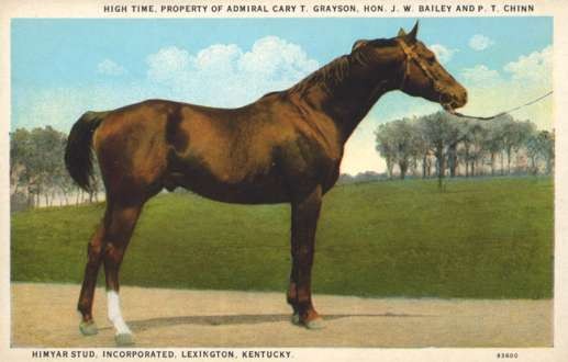 Horse High Time of Admiral Grayson