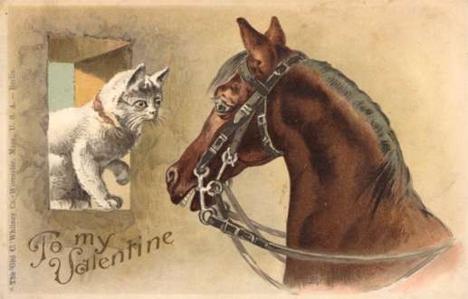 Horse Talking to Cat