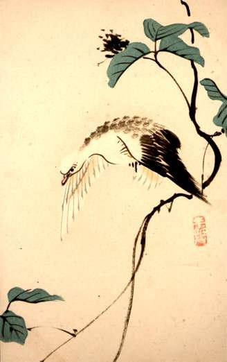 Bird Japanese