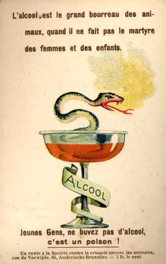 Snake in Alcohol Glass