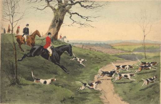 Hunters on Horses Following Dogs Fox Hounds Sport