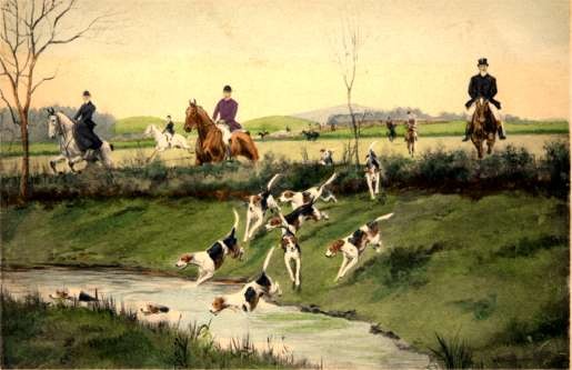 Dogs Fox Hounds Hunters on Horses Sports
