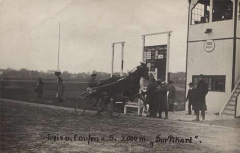 Harness Racer Reaching Grand Stand Real Photo