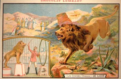 Lion Trainer in Cage Advert Chocolate