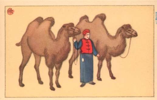 Manchuria Woman between Camels
