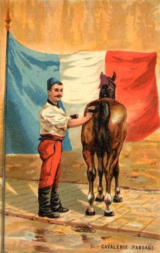 French Cavalry Sodier Cleaning Horse French Flag