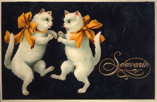 Dancing Cats Facing Each Other