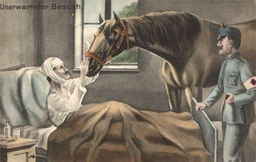 WWI Horse Visiting Wounded Red Cross Olderly