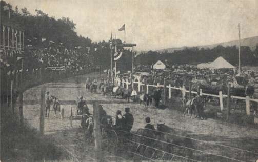 Race Track Horses at Springfield Fair 1911