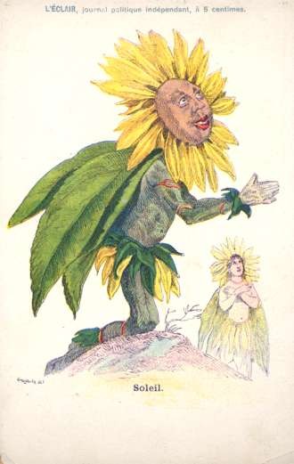 Sunflower as Black Praying on Hill