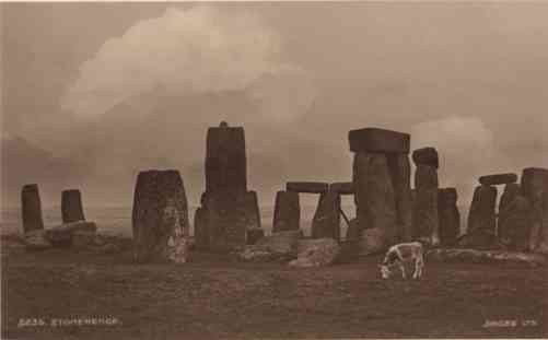 UK Stonehenge Grazing Cow Real Photo