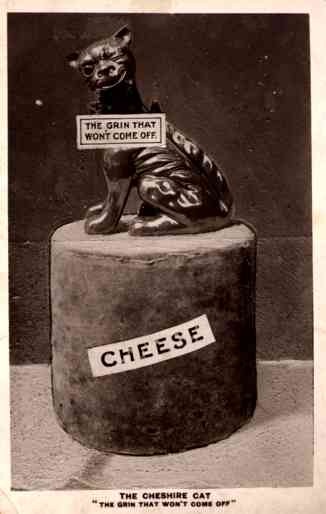 Cheshire Cat on Cheese Real Photo