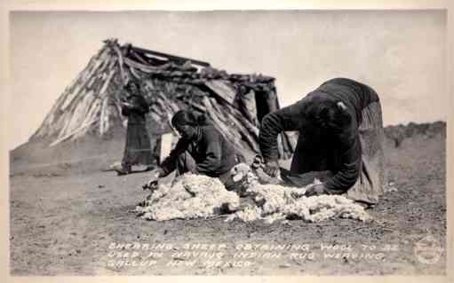 Navajo Indian Women Shearing Sheep Real Photo