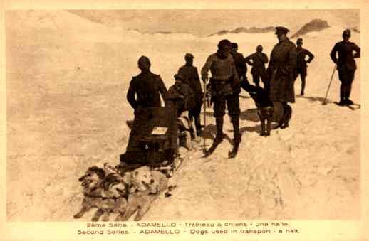 Dog-Drawn Sled Military Skiing