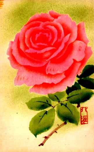 Blooming Flower Rose