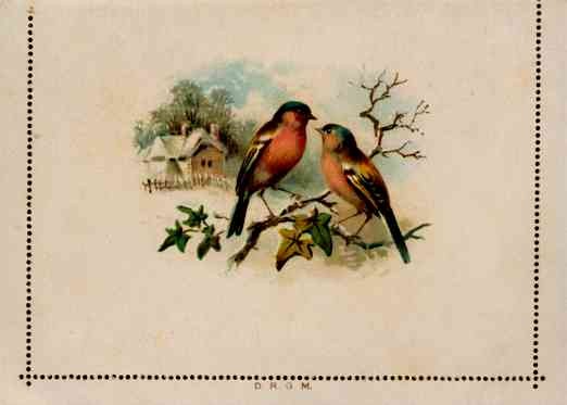 Emberizines Birds on Branch eLtter Card