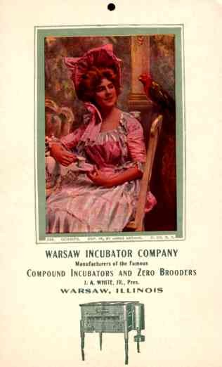 Lady Talking to Parrot Advert Incubator