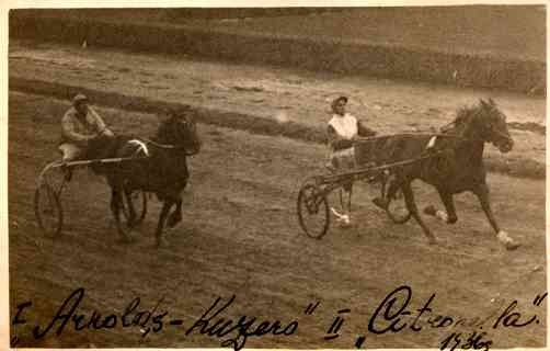 Competing Harness Racers Real Photo