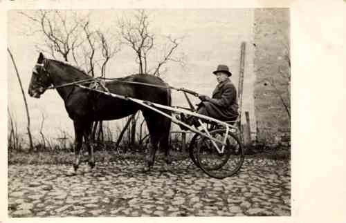 Harness Racer in Fall Real Photo