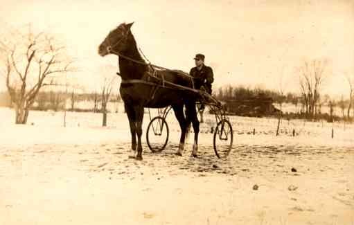 Harness Racer in Winter Real Photo