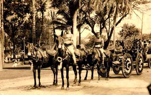 Horse-Drawn Floral Cart Hawaii Real Photo