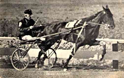 Harness Racer at Race