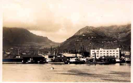 Pier Boats Real Photo