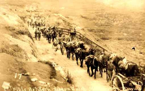 Artillery Horses Army Maneuvers1913 RP