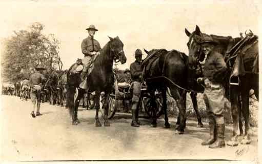 Mid-Pacific Carnival 1912 Horses Military RP