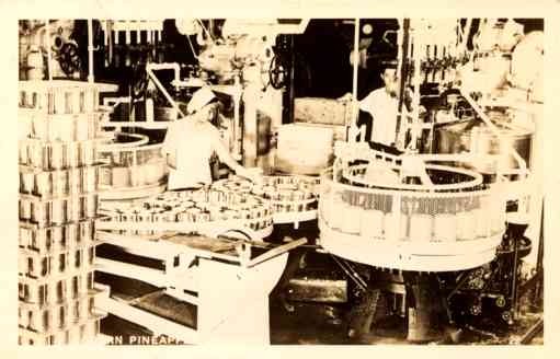 Workers at Pineapple Cannery Real Photo