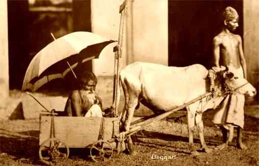 Indian Beggar in Bull-Drawn Cart RP
