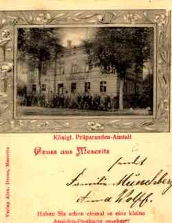Meseritz Institute German
