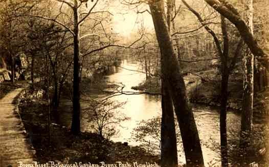 Wilkerson Bronx River Park Real Photo NYC
