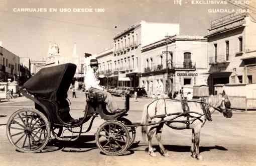 Horse-Drawn Wagon Auto Real Photo