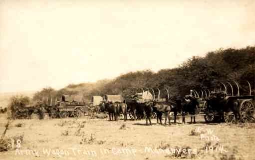 Hawaii Horse-Drawn Carriage Real Photo