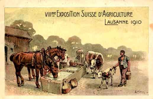Horse Calf Cow Show 1910 Swiss