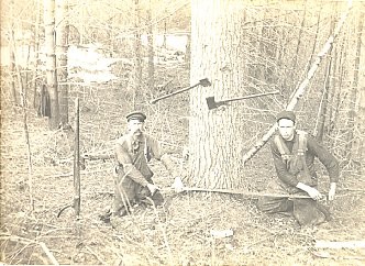 Lumbering Wood Sawyers Real Photo