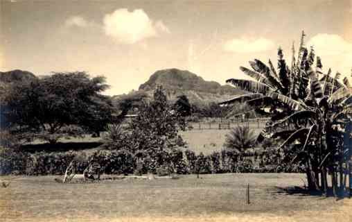 Hawaii Scene Real Photo